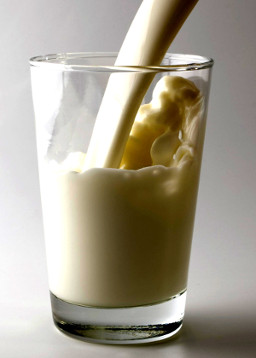 Milk